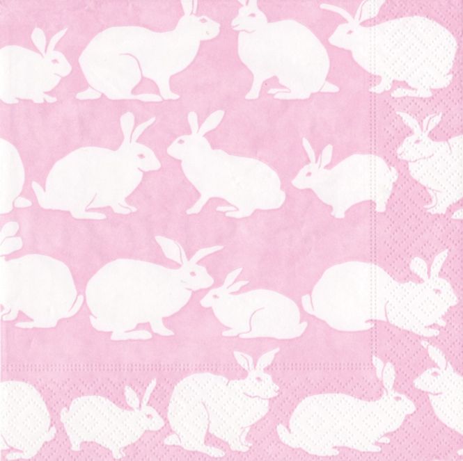 Hovedbilde Kaniner Rosa Lunsj