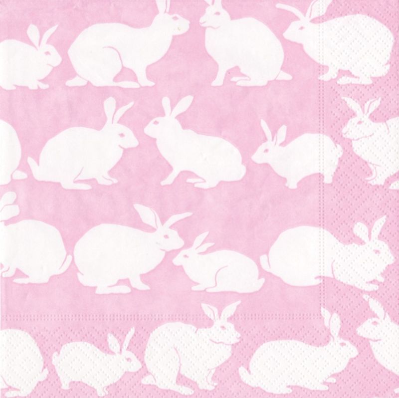 Kaniner Rosa Lunsj