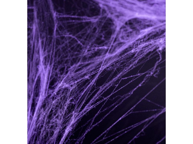 Edderkoppnett Halloween, lilla