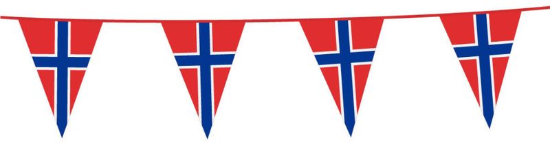 Vimpelbanner Norge 10 meter – flagg 20x30 cm