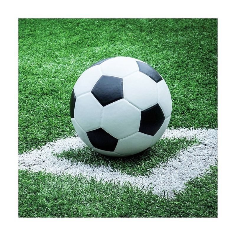 Fotball Lunsjserviett