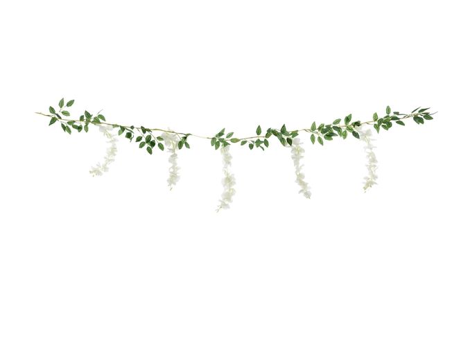 Hovedbilde Wisteria girlander